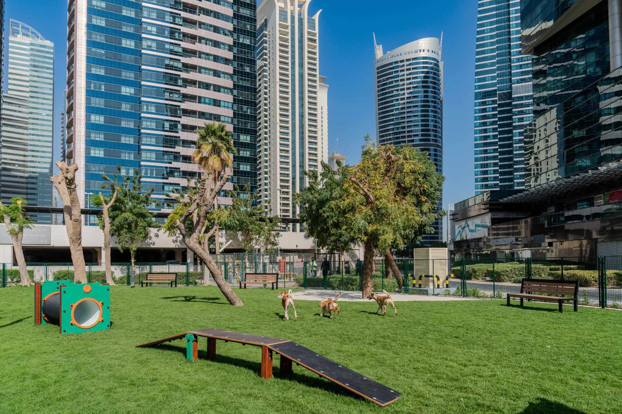 JLT Dog Park News-2