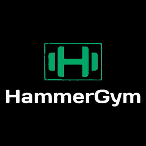 Hammergym logo