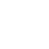 Snowflake Icon