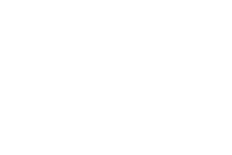 careem logo
