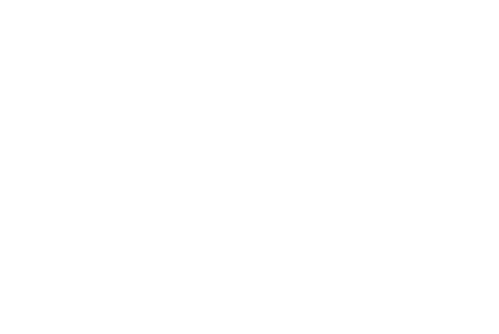 pullman logo
