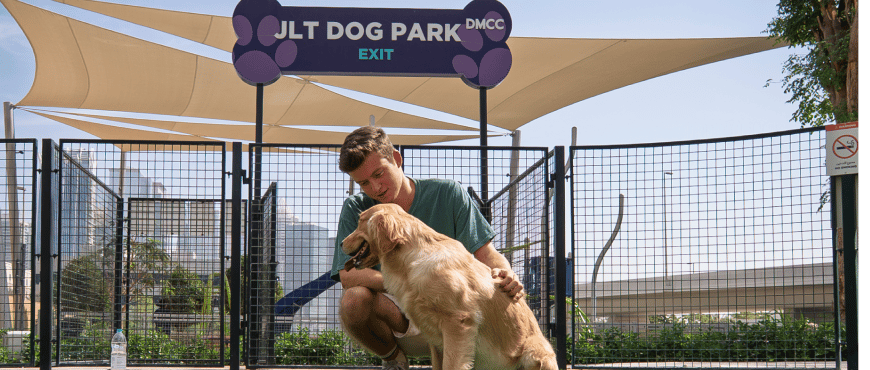 jlt dog park
